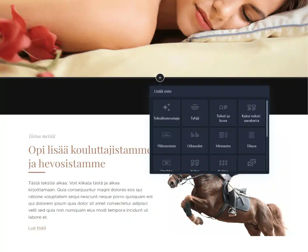 webnode editori 2025